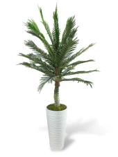 Nettenevime Yapay Ağaç Coco Palmiye Ağacı Beyaz Kumsal Vazoda 190*80 cm thumbnail 1