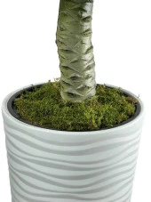 Nettenevime Yapay Ağaç Coco Palmiye Ağacı Beyaz Kumsal Vazoda 190*80 cm thumbnail 6