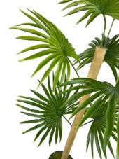 Nettenevime Yapay Ağaç Fanpalm 8Yaprak 85*45cm Yelpaze Palmiye Siyah Aleminyum Saksı thumbnail 7