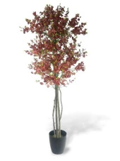 Nettenevime Yapay Ağaç Kızılkahve Okaliptus 2 Gövdeli Çalılı 180*80cm Siyah Plastik Saksılı thumbnail 1