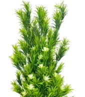 Nettenevime Yapay Çiçek Siyah Saksıda Rosemarystar Yapay Ağaç 55cm - 3