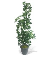 Nettenevime Yapay Ağaç Şeflera 3 Gövdeli 160x60cm Antrasit Villa Saksıda Salon Çiçeği thumbnail 1