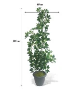 Nettenevime Yapay Ağaç Şeflera 3 Gövdeli 160x60cm Antrasit Villa Saksıda Salon Çiçeği thumbnail 2