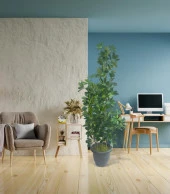 Nettenevime Yapay Ağaç Şeflera 3 Gövdeli 160x60cm Antrasit Villa Saksıda Salon Çiçeği thumbnail 4