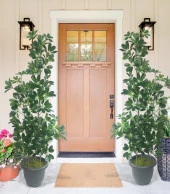 Nettenevime Yapay Ağaç Şeflera 3 Gövdeli 160x60cm Antrasit Villa Saksıda Salon Çiçeği thumbnail 5