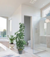 Nettenevime Yapay Ağaç Şeflera 3 Gövdeli 160x60cm Antrasit Villa Saksıda Salon Çiçeği thumbnail 6