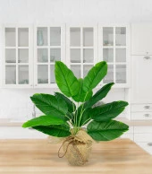 Nettenevime Yapay Çiçek Keten Hasır Saksıda Yeşil Muz Yapraklı 12Dal 50cm Salon Çiçeği Yapay Bitki thumbnail 5