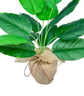 Nettenevime Yapay Çiçek Keten Hasır Saksıda Yeşil Muz Yapraklı 12Dal 50cm Salon Çiçeği Yapay Bitki thumbnail 7