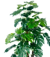 Nettenevime Yapay Çiçek Monstera Yeşil Deve Tabanı 3Katlı 135cm 54Yaprak Gümüş Kemerli Siyah Saksıda Yapay Bitki thumbnail 2