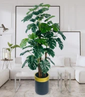 Nettenevime Yapay Çiçek Monstera Yeşil Deve Tabanı 3Katlı 135cm 54Yaprak Gold Kemerli Siyah Saksıda Yapay Bitki thumbnail 2