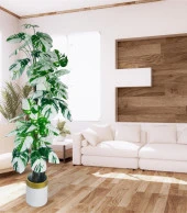 Yapay Çiçek Monstera Yeşil Beyaz Deve Tabanı 3Katlı 180cm 54Yaprak Altın Kemerli Beyaz Metal Saksı - 3