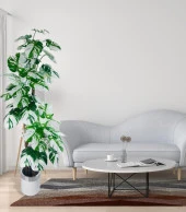 Nettenevime Yapay Çiçek Monstera Yeşil Beyaz Deve Tabanı 3Katlı 180cm 54Yaprak Gümüş Kemerli Beyaz Metal Saksı - 4