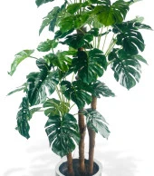Nettenevime Yapay Çiçek Monstera Yeşil Deve Tabanı 3Katlı 135cm 54Yaprak Gümüş Kemerli Siyah Saksıda Yapay Bitki thumbnail 5