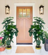 Nettenevime Yapay Çiçek Monstera Yeşil Deve Tabanı 3Katlı 135cm 54Yaprak Gold Kemerli Beyaz Saksıda Yapay Bitki thumbnail 4