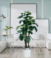 Nettenevime Yapay Çiçek Monstera Yeşil Deve Tabanı 3Katlı 135cm 54Yaprak Gümüş Kemerli Beyaz Saksıda Yapay Bitki thumbnail 2