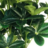 Nettenevime Yapay Ağaç Şeflera 3 Gövdeli 160x60cm Siyah Yakut Saksıda Salon Çiçeği - 3