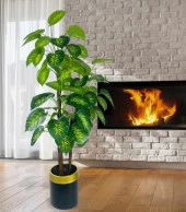 Nettenevime Yapay Çiçek Difenbahya Sarı Yeşil 3Katlı 160cm 54Yaprak Gold Kemerli Siyah Saksıda Yapay Bitki - 4