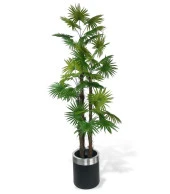 Nettenevime Yapay Ağaç Yelpaze Palmiye 4Katlı Fanpalm 32 Yaprak Gümüş Kemerli Siyah Saksıda 170*65cm thumbnail 1