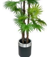Nettenevime Yapay Ağaç Yelpaze Palmiye 4Katlı Fanpalm 32 Yaprak Gümüş Kemerli Siyah Saksıda 170*65cm thumbnail 2