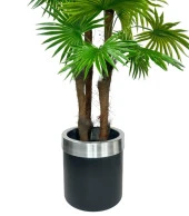 Nettenevime Yapay Ağaç Yelpaze Palmiye 4Katlı Fanpalm 32 Yaprak Gümüş Kemerli Siyah Saksıda 170*65cm thumbnail 4