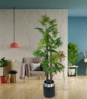Nettenevime Yapay Ağaç Yelpaze Palmiye 4Katlı Fanpalm 32 Yaprak Gümüş Kemerli Siyah Saksıda 170*65cm thumbnail 5