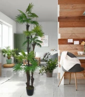 Nettenevime Yapay Ağaç Palmiye Fanpalm 3Katlı 24Yaprak Siyah Plastik Saksıda 165*65cm thumbnail 5