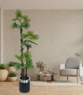 Nettenevime Yapay Ağaç Palmiye Fanpalm 3Katlı 24Yaprak Gümüş Kemerli Siyah Saksıda 165*65cm thumbnail 3