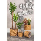 Nettenevime Dekoratif Hasır 4lü Set Saksı Bohem Konsept Muz Lifi Örgü Saksı - 5