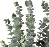 3lü Set Yapay Çiçek Pastel Yeşil Okaliptus 3Dallı Uzun Dal 76cm Eucalyptus - 4