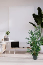 Nettenevime Yapay Ağaç Bambu Ağacı 3 Gövdeli 90*40cm Siyah Saksılı thumbnail 4