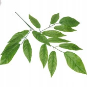 Nettenevime Yapay Çiçek 12 Dal Ceviz Yaprağı Yeşil Ağaç Yaprağı thumbnail 4