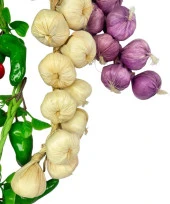 Nettenevime Yapay Sebze Salkımı 6lı Set Süs Sahte Yapay Meyve Sebze Karışık Paket thumbnail 4