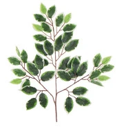 Nettenevime Yapay Çiçek Benjamin Yaprağı Yeşil Beyaz Detaylı  Ağaç Yaprağı thumbnail 1