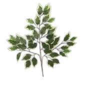 Nettenevime Yapay Çiçek Benjamin Yaprağı Yeşil Beyaz Detaylı  Ağaç Yaprağı thumbnail 2