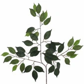 Nettenevime Yapay Çiçek Benjamin Yaprağı Yeşil Ağaç Yaprağı thumbnail 1