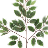 Nettenevime Yapay Çiçek Benjamin Yaprağı Yeşil Beyaz Detaylı  Ağaç Yaprağı thumbnail 4