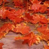 Nettenevime Yapay Çiçek Sarmaşık Sonbahar Rengi 5li Bağ thumbnail 5