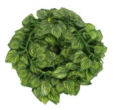 Nettenevime Yapay Çiçek Sarmaşık 12 li Paket 230 cm thumbnail 1