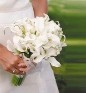 Nettenevime Yapay Çiçek Islak Gala Gerçeksi Eva Malzeme Cala Flower 8li KREM thumbnail 3