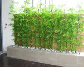 Nettenevime Yapay Bambu Sopası 10 Yapraklı 150 cm Yapay Çiçek Bambu Duvarı - 3