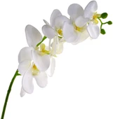 Yapay Çiçek Beyaz Islak Orkide Uzun Dal 90 cm Orkide - 1