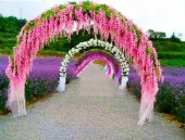 Nettenevime Sarkan Yapay Çiçek Akasya PEMBE 80 cm 3 Sarkan Dallı 12 ADET BAĞ - 2