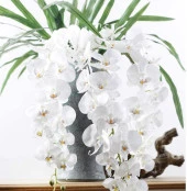 Yapay Çiçek Beyaz Islak Orkide Uzun Dal 90 cm Orkide - 4