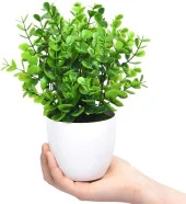 Nettenevime Yapay Çiçek Beyaz Saksıda Yeşil Şimşir Dekoratif Masa Çiçeği - 1