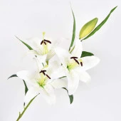 Nettenevime Yapay Çiçek Lilyum 3 Kafalı Islak Zambak 80cm Beyaz thumbnail 1