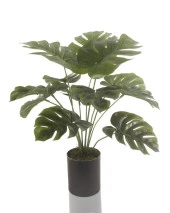Nettenevime Yapay Çiçek Monstera Deve Tabanı Siyah Saksılı Salon Çiçeği 12 Yaprak thumbnail 1