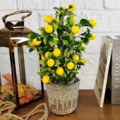 Nettenevime Yapay Çiçek Gri Seramik Saksıda Limon Ağacı thumbnail 2