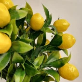 Nettenevime Yapay Çiçek Gri Seramik Saksıda Limon Ağacı thumbnail 3