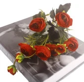 Nettenevime Yapay Çiçek Erengül Yapay Gül Demeti 6 Çiçekli KIRMIZI thumbnail 4