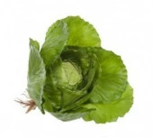 Nettenevime Yapay Yeşil Lahana Dekoratif Yapay Sebze Marul thumbnail 1